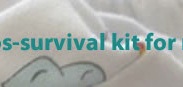 Chaos Survival Kit for New Moms