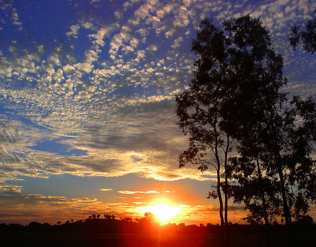 sunset.photoby NeilsPhotographyviaFlickr